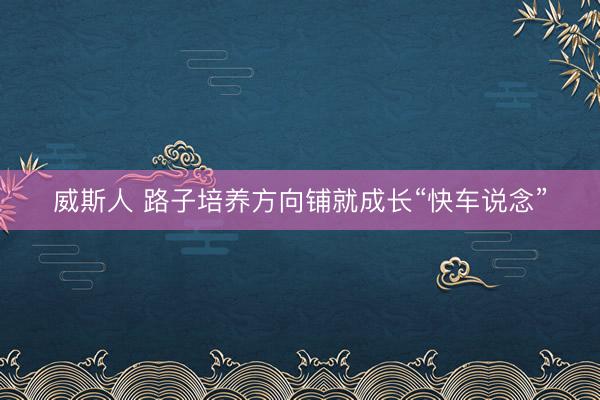 威斯人 路子培养方向铺就成长“快车说念”